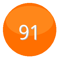 91